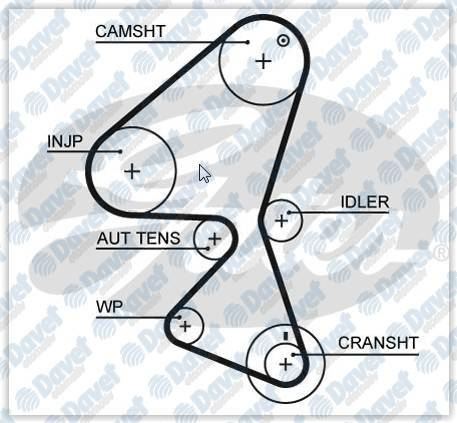 GATES 5589XS Triger Kayisi (135x254) 135 Dis C3 1.4 Hdi 02- Suzuki Liana 1.4 Ddsi 04- Ct1104